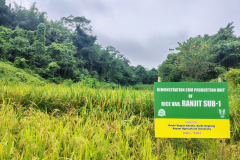 Demonstration-cum-Producation-Unit-Ranjit-Sub-1