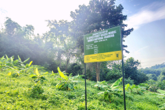 Demonstration-on-5-layer-fruit-based-model-