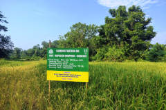 Demonstration-on-Rice-Rapeseed-cropping-sequence