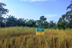 Demonstration-unit-Sesame